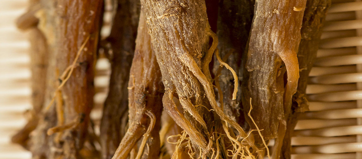 Red Ginseng Root