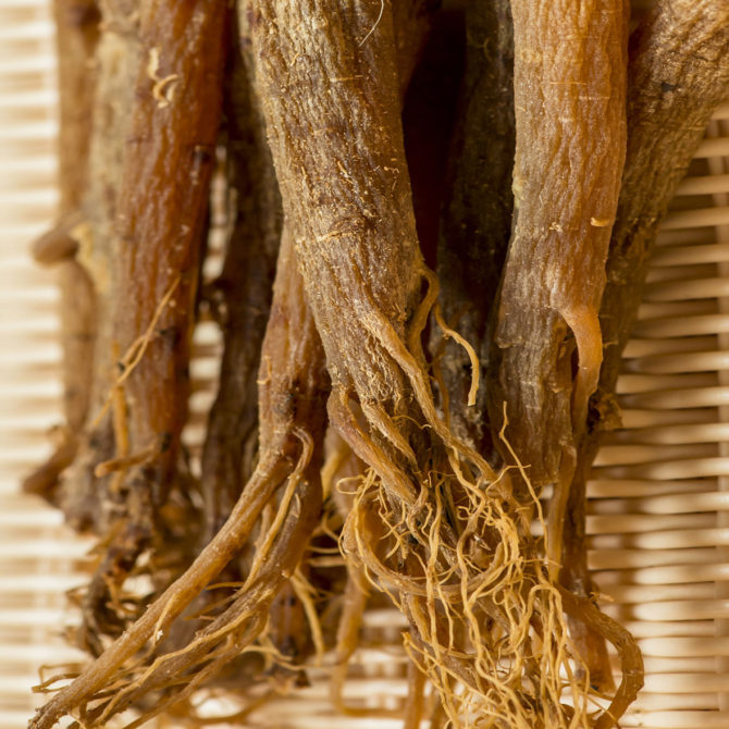 Red Ginseng Root